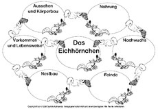 Mindmap-Eichhörnchen-4-SW.pdf